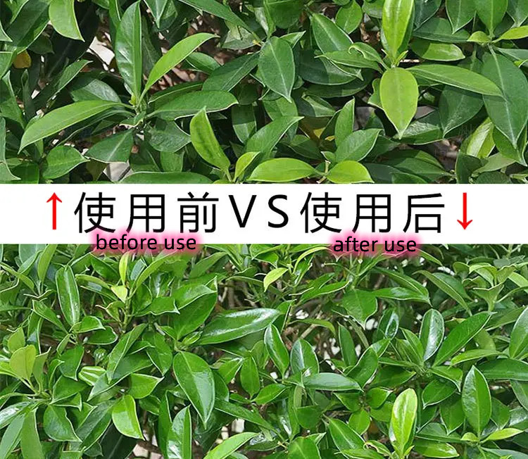 Multiscene Thiếc lá Shine Xịt màu xanh lá cây Màu sắc thân thiện với môi trường